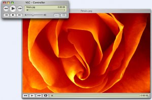 VLC on MacOS X